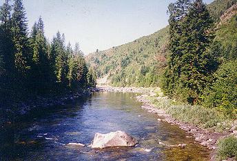 The Wild and Scenic Lochsa River